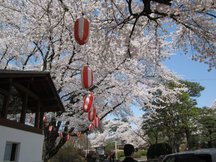 ファイル 253-1.jpg